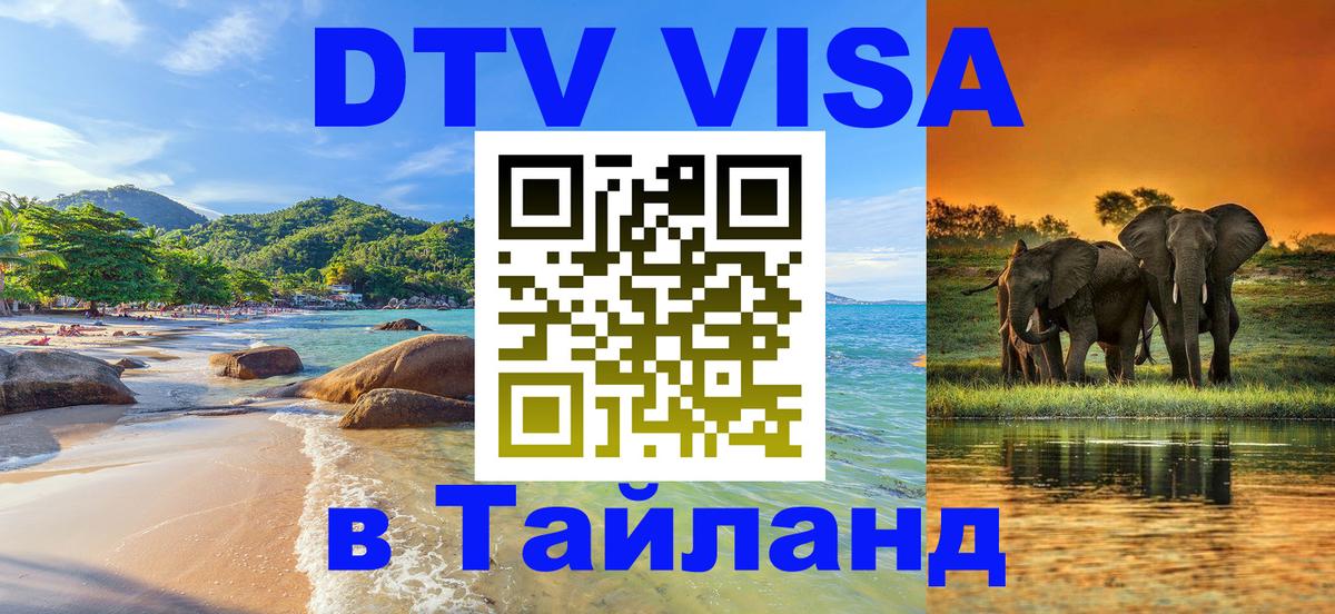 Сколько стоит DTV виза — актуальные цены, оформление даже без документов - Грозный  04.10.2025 